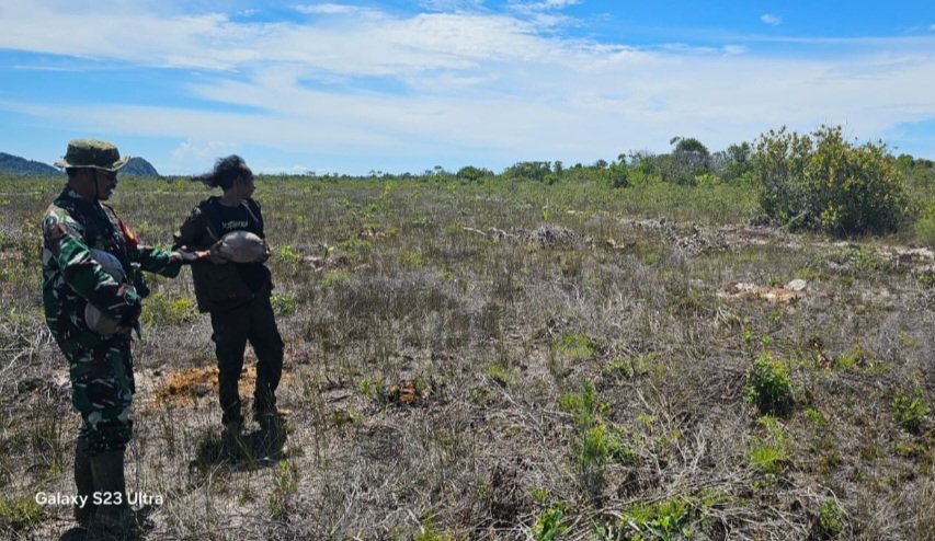 Babinsa Bantu Warga Tanam Kelapa, Pererat Kemanunggalan TNI dengan Rakyat