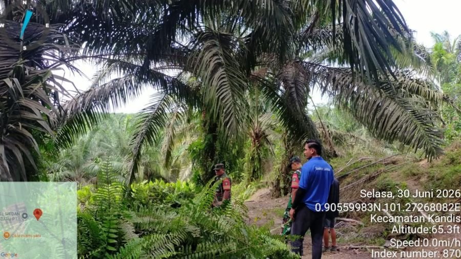 Babinsa Bekalar Intensif Patroli Karhutla, Cegah Kebakaran Sejak Dini