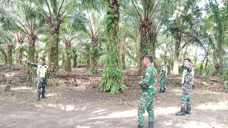 Babinsa Bergerak Cegah Kebakaran Lahan di Pulau Kopung