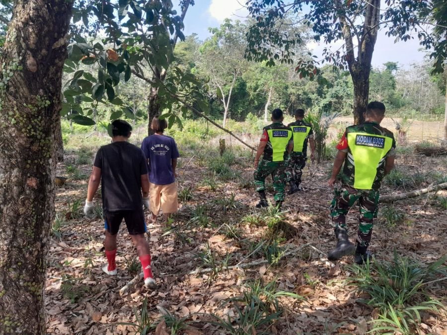 Babinsa Bergerak Cepat Amankan Beringin Taluk dari Ancaman Karhutla