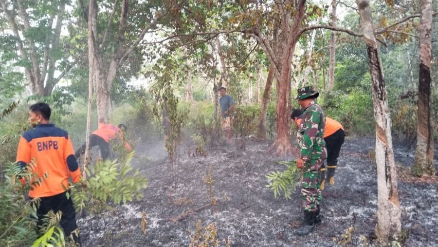Babinsa Bergerak Cepat, Kebakaran Kebun Karet di Pulau Aro Berhasil Dipadamkan