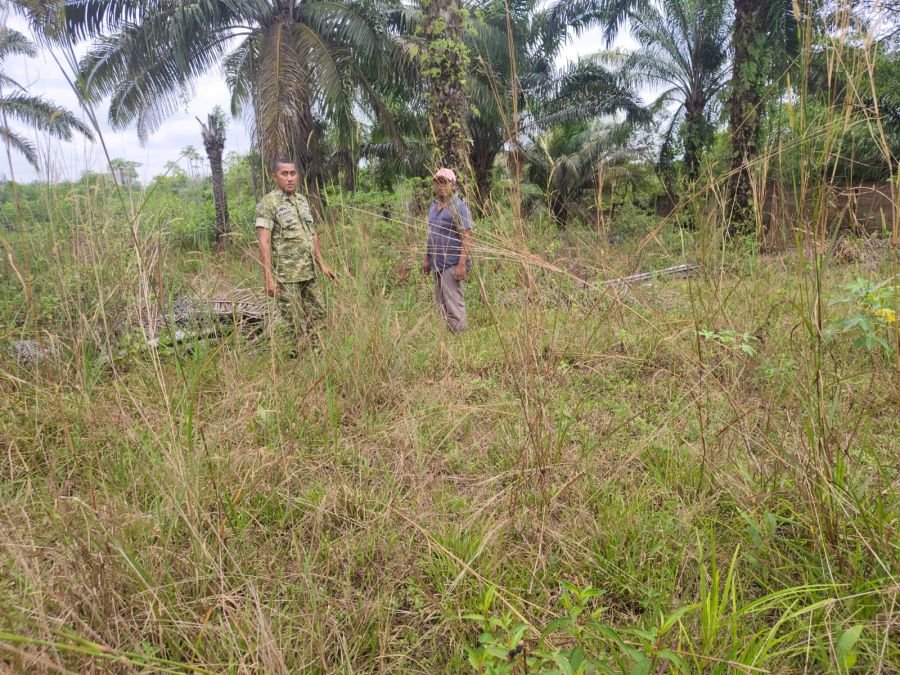 Babinsa Bergerak dari Pagi, Jalur Rawan Karhutla Rumbai Timur Dipantau Ketat, Hotspot dan Asap Nihil