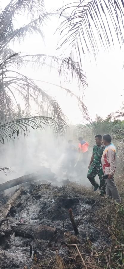 Babinsa Bersama Tim Gabungan Padamkan Kebakaran Lahan Warga di Desa Pulau Jambu