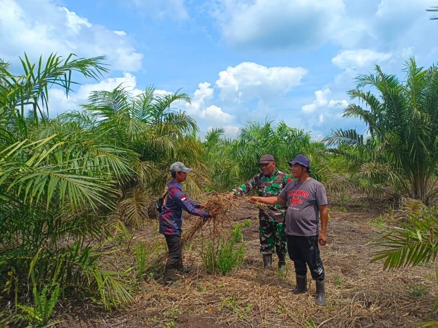 Babinsa Bukit Batu Patroli Karhutla di Sungai Linau, Ingatkan Warga Tak Bakar Lahan