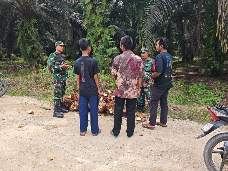 Babinsa Bunut Ingatkan Petani Sawit Waspadai Karhutla di Desa Petani