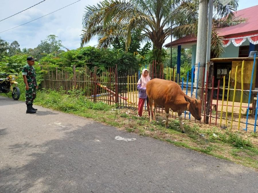 Babinsa Dampingi Peternak dan Pastikan Kondisi Ternak Tetap Sehat