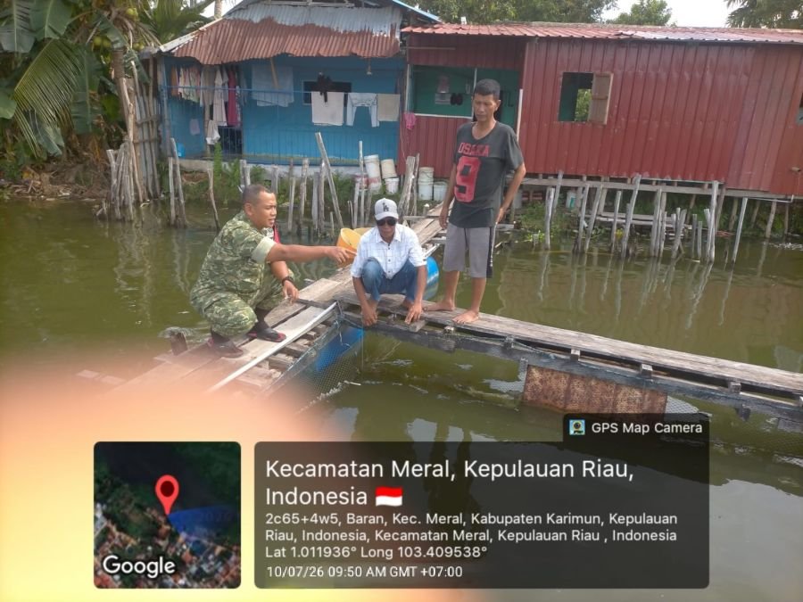 Babinsa Dampingi Peternak Lele Tingkatkan Budidaya di Baran Timur