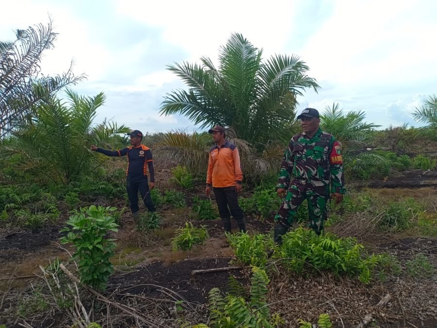 Babinsa dan BNPB Intensifkan Patroli Karhutla di Siak Kecil, Pastikan Wilayah Tetap Aman
