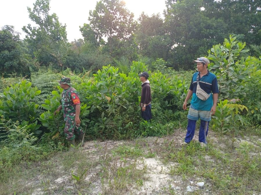 BABINSA DAN MASYARAKAT PATROLI BERSAMA, CEGAH KARHUTLA DI LUBUK GAUNG