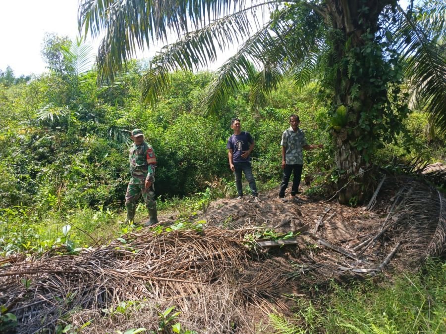 Babinsa dan Masyarakat Patroli Karhutla di Desa Sumber Jaya