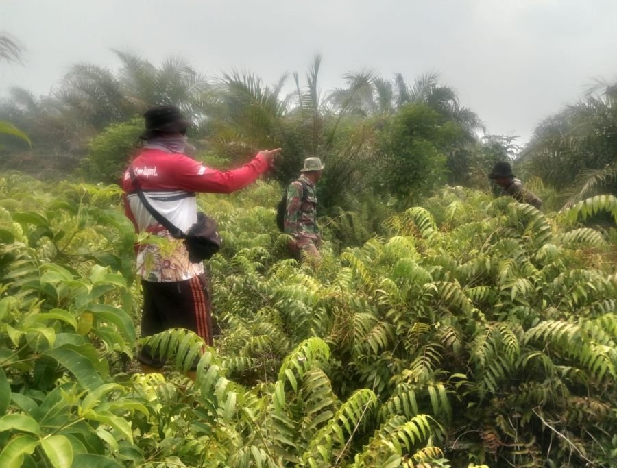 Babinsa dan MPA Sisir Lahan Rawan Karhutla di Terkul