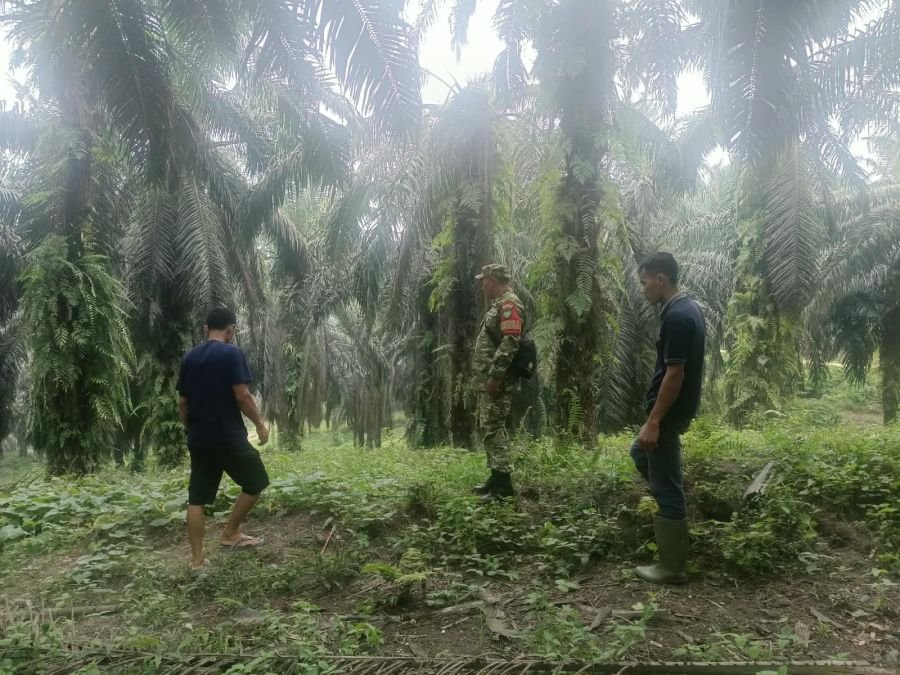 Babinsa dan MPA Sisir Wilayah Tenayan Raya, Antisipasi Dini Ancaman Karhutla