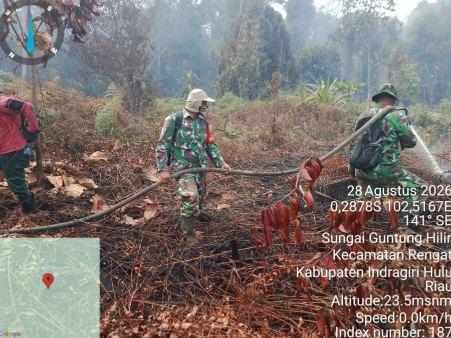 Babinsa dan Tim Satgas Berjibaku Padamkan Api Karhutla di Desa Sungai Guntung Hilir