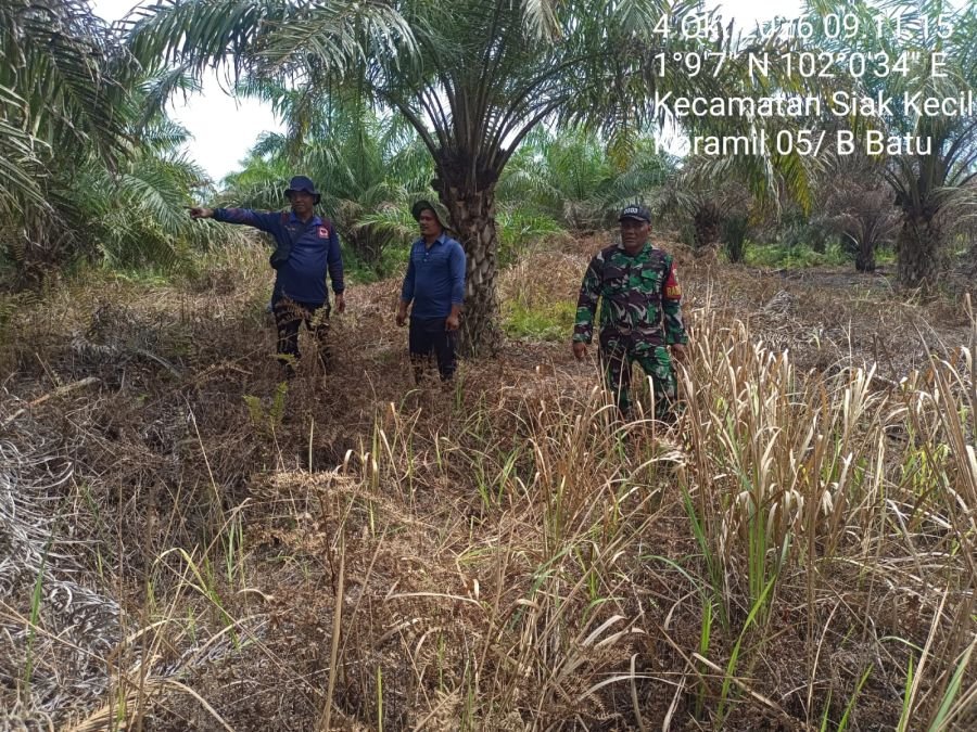 Babinsa dan Warga Bergerak, Karhutla di Sungai Linau Jadi Perhatian Serius