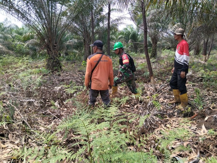 Babinsa dan Warga Bergerak, Pastikan Tanjung Leban Aman dari Karhutla