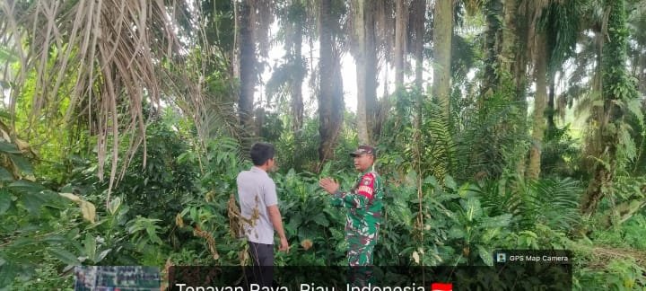 Babinsa dan Warga Bersatu Jaga Tenayan Raya Tetap Bebas Karhutla