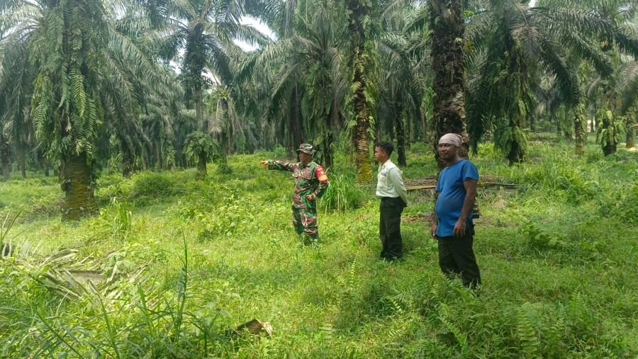 Babinsa dan Warga Bersinergi Jaga Tenayan Raya Tetap Bebas Karhutla