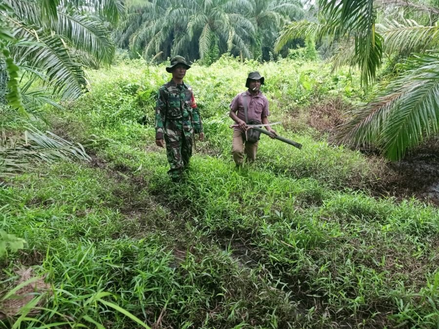 Babinsa dan Warga Patroli Karhutla di Teluk Batil, Tak Temukan Titik Api