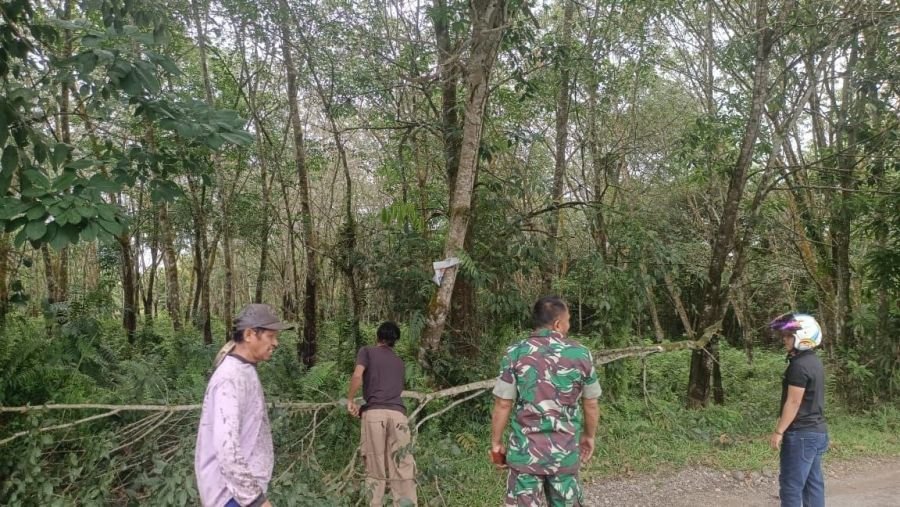 Babinsa dan Warga Singingi Kompak Pangkas Semak di Hutan Kota