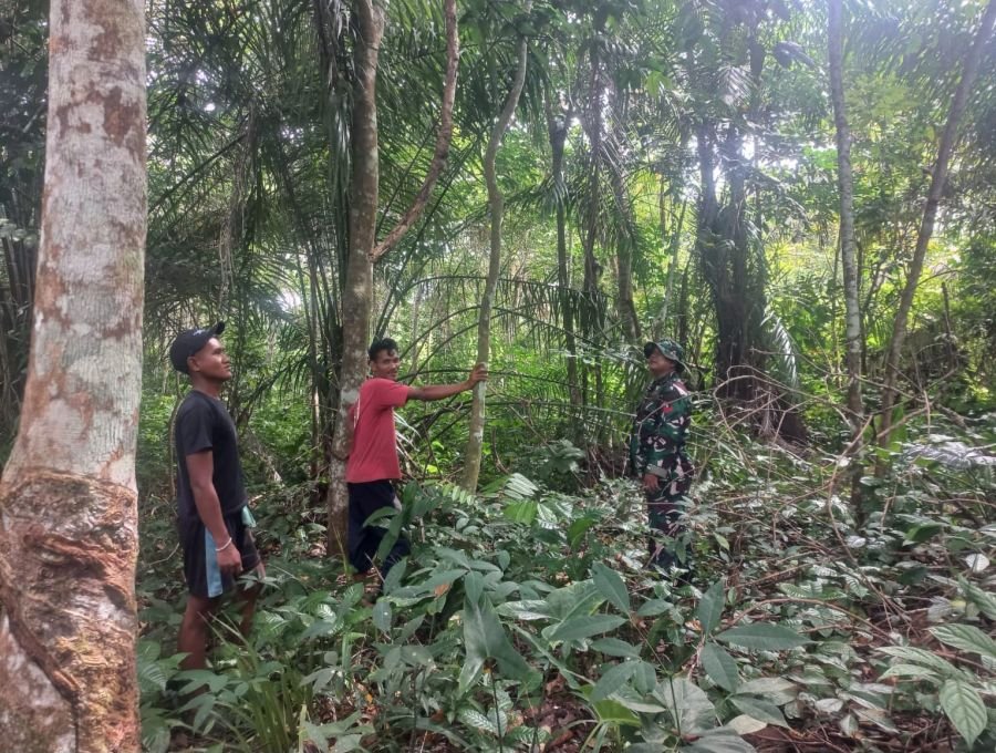 Babinsa dan Warga Sisir Titik Rawan Karhutla di Desa Darul Aman