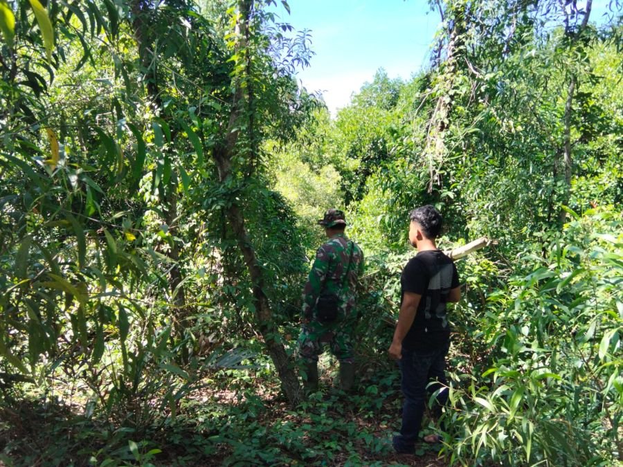 Babinsa dan Warga Susuri Lahan Rawan di Hutan Panjang