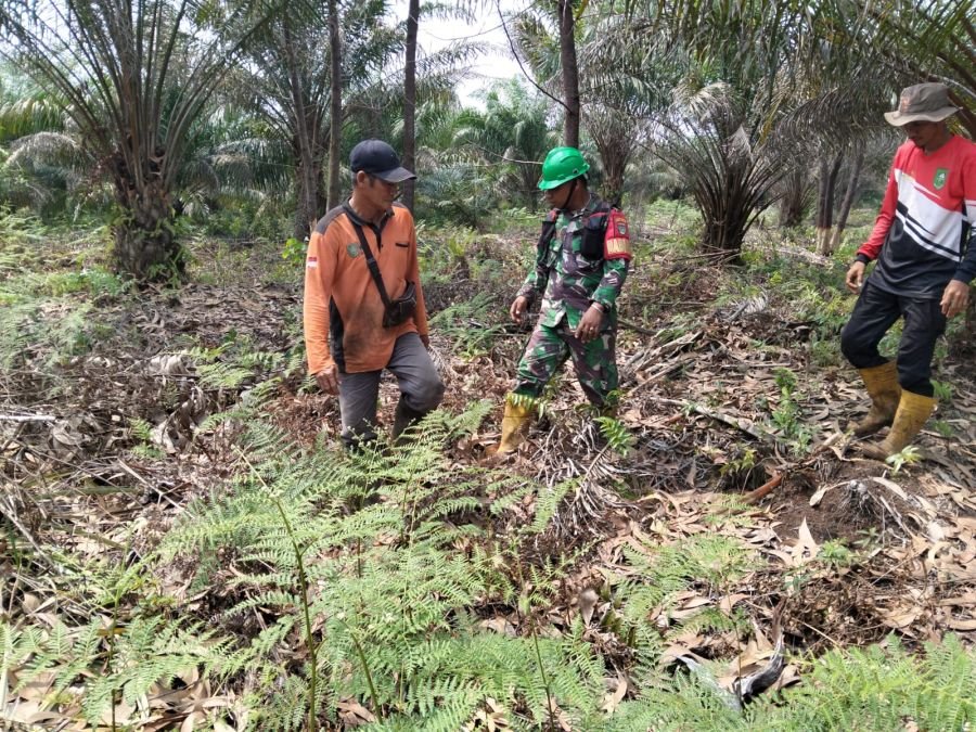 Babinsa dan Warga Tanjung Leban Bergerak, Titik Rawan Karhutla Dipantau