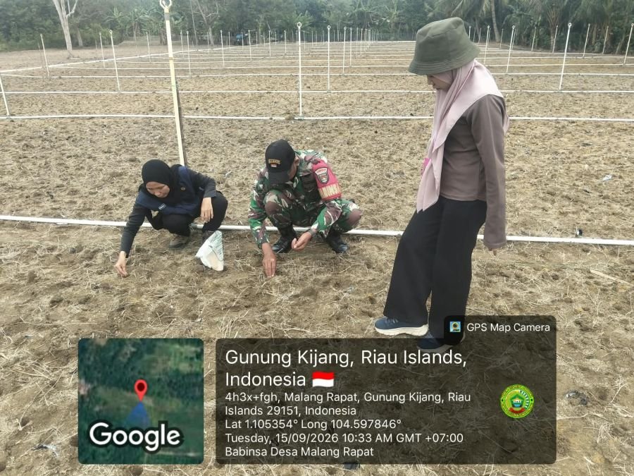 Babinsa Desa Malang Rapat Hadiri Kegiatan Penanaman Padi Gogo di Pulau Pucung