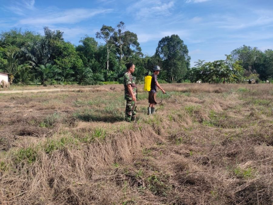Babinsa Desa Rumbio Koramil 07/Kampar Komsos dengan Petani yang Sedang di Sawah