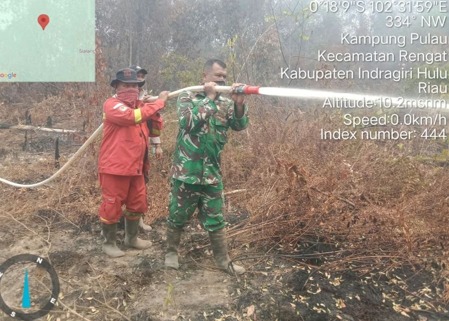 Babinsa Desa Sungai Guntung Hilir Bersama Instansi Terkait Laksanakan Pemadaman Kebakaran Lahan
