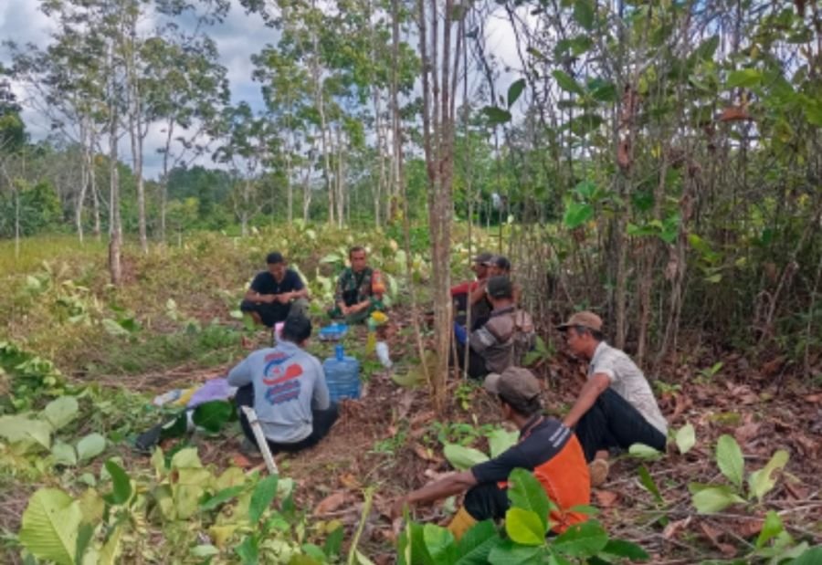 Babinsa Desa Tapau Perkuat Semangat Gotong Royong, Dampingi Petani Siapkan Lahan Hortikultura