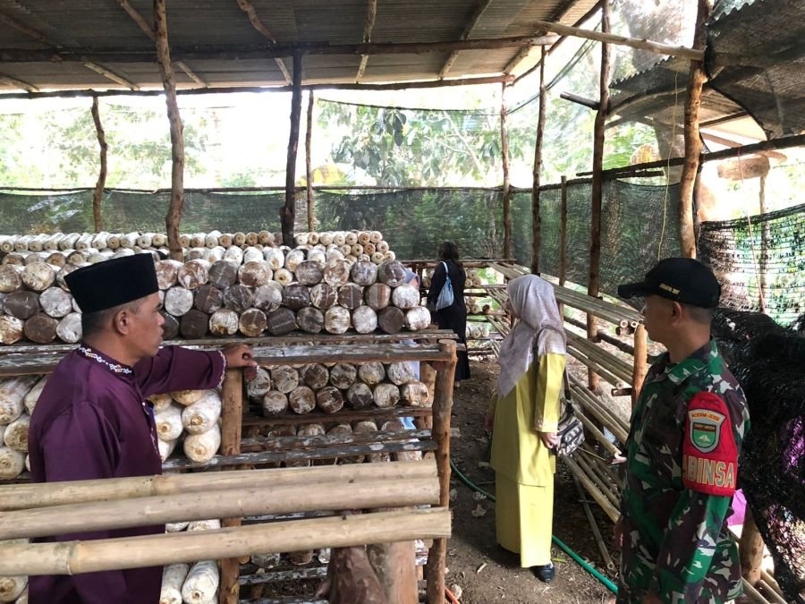 Babinsa Desa Tembeling Monitoring Budidaya Jamur BUMDes dalam Mendukung Ketahanan Pangan