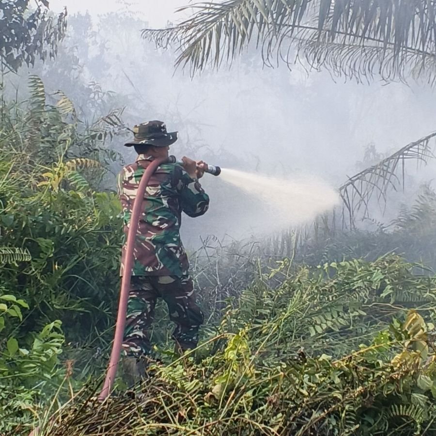 Babinsa Gerak Cepat Tangani Karhutla di Bandarraya, 5 Hektare Lahan Terbakar