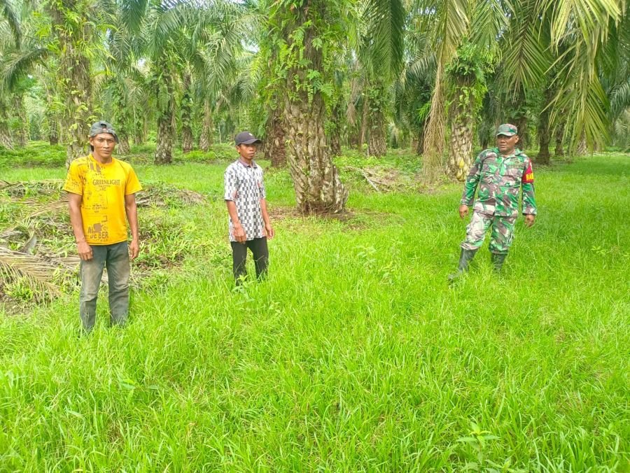 Babinsa Hadir di Tengah Masyarakat, Perkuat Kewaspadaan Hadapi Ancaman Karhutla