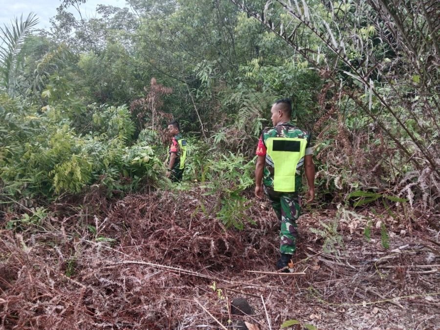Babinsa Intensifkan Patroli Karhutla Cegah Kebakaran di Koto Taluk