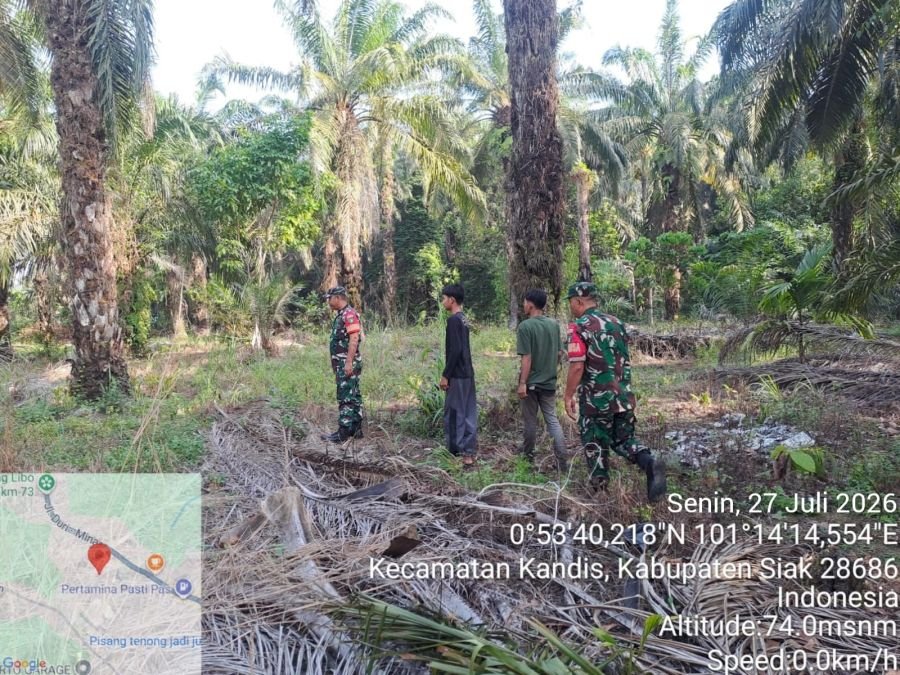 Babinsa Kandis Bergerak Cepat Cegah Ancaman Karhutla Sejak Dini