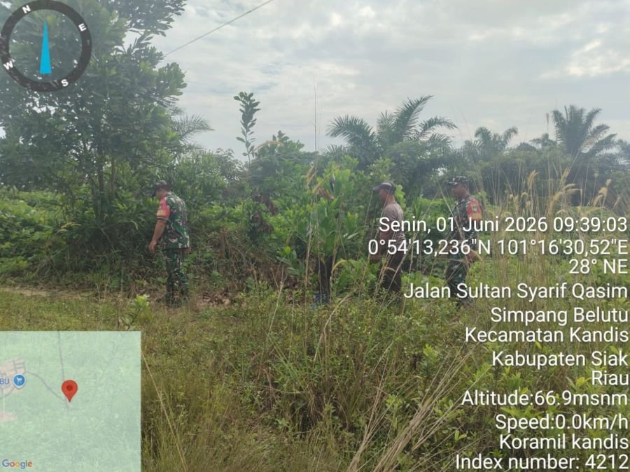 Babinsa Kandis Perketat Patroli Karhutla, Titik Rawan Disisir