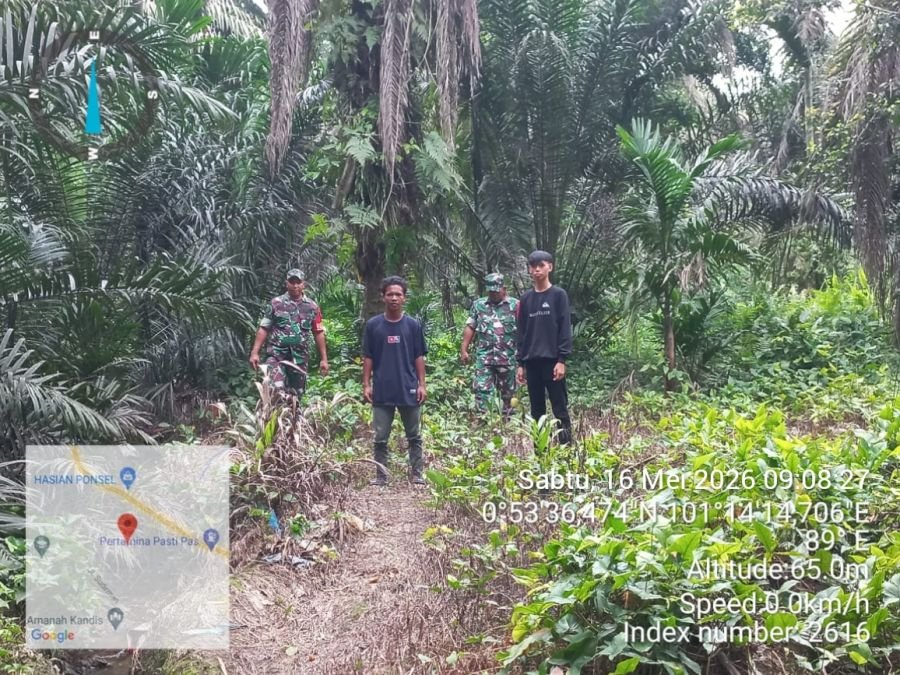 Babinsa Kandis Sisir Libo Jaya Cegah Karhutla Sejak Dini