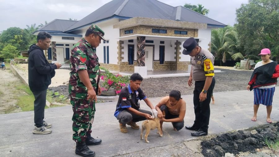 Babinsa Kawal Vaksin Rabies Massal di Kandis, Ratusan Hewan Ditargetkan