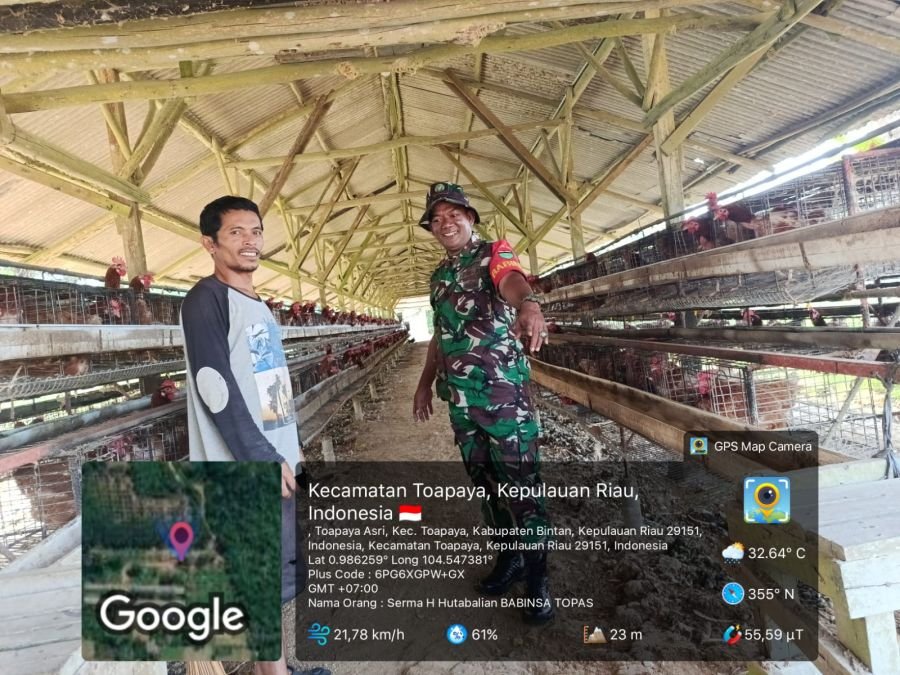 Babinsa Kel. Toapaya Asri Himbau Pemilik Ternak Ayam Jaga Kebersihan Kandang Cegah Penyakit.