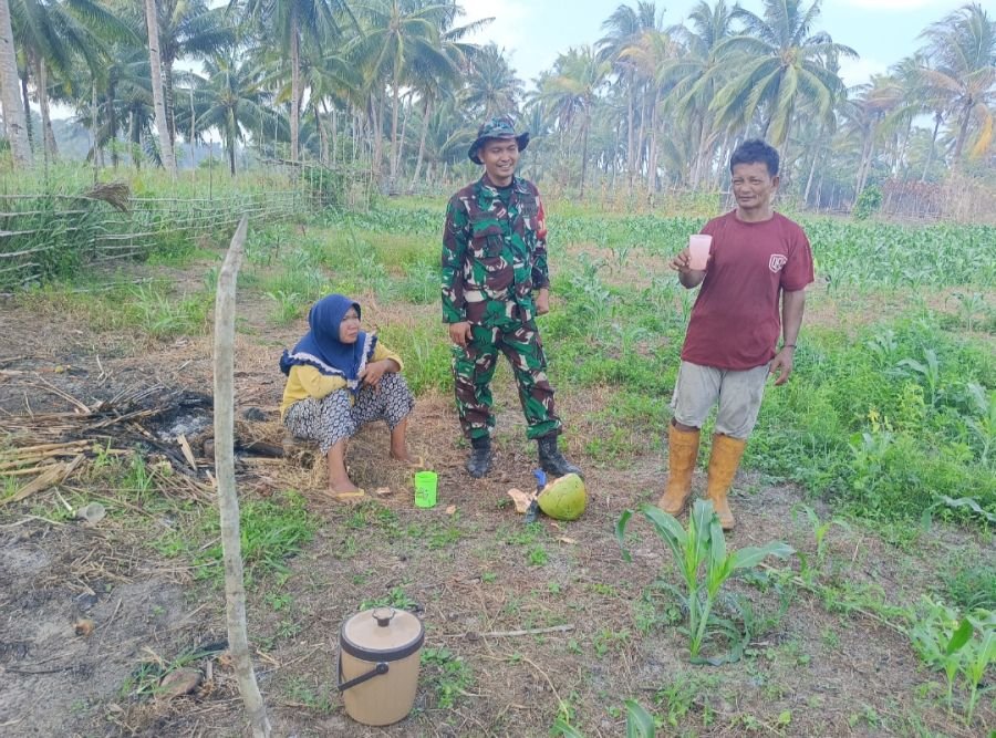 Babinsa Kelanga Bantu Warga Tanam Jagung, Perkuat Gotong Royong
