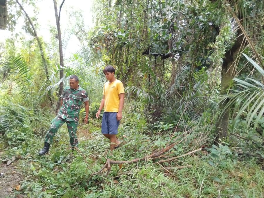 Babinsa Kelurahan Limbungan Bergerak Cegah Karhutla, Rumbai Timur Tetap Aman Tanpa Titik Api