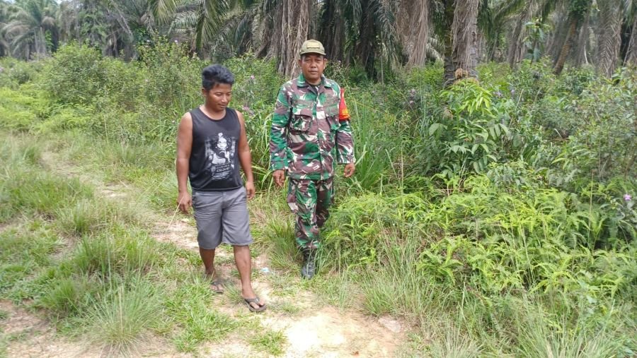 Babinsa Kelurahan Pelintung Laksanakan Patroli dan Sosialisasi Karhutla serta Karya Nyata Penanaman