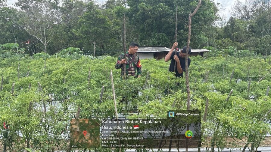 Babinsa Kelurahan Sungai Lekop Bahas Ketahanan Pangan Bersama Kelompok Tani.