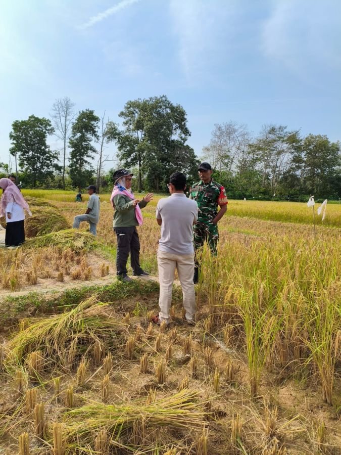 Babinsa Kelurahan Tembeling Tanjung Sertu Daswisman pada hari Sabtu, 22 Agustus 2026.