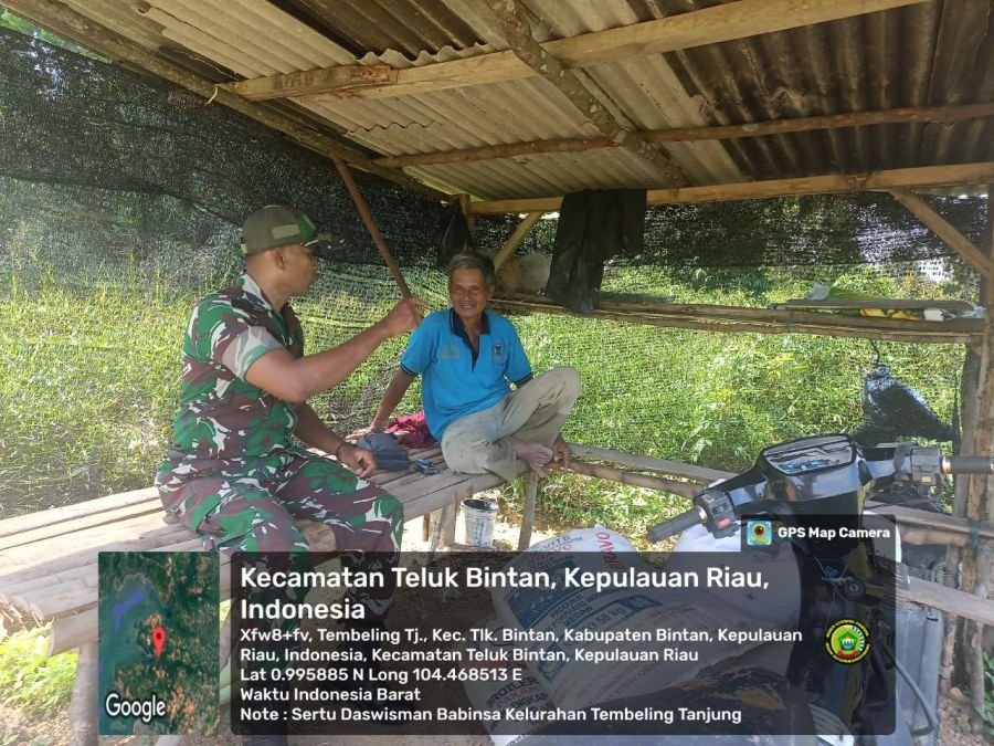 Babinsa Kelurahan Tembeling Tanjung Sambangi Petani Sayur, Dorong Sistem Tumpang Sari.