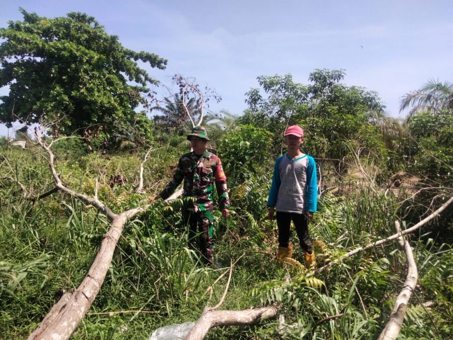 Babinsa Kodim 0320/Dumai Gencarkan Patroli Karhutla dan Sosialisasi Pencegahan Banjir,