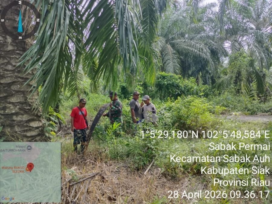 Babinsa Kodim 0322/Siak Intensifkan Patroli Karhutla, Sabak Permai Dipastikan Aman Tanpa Titik Api