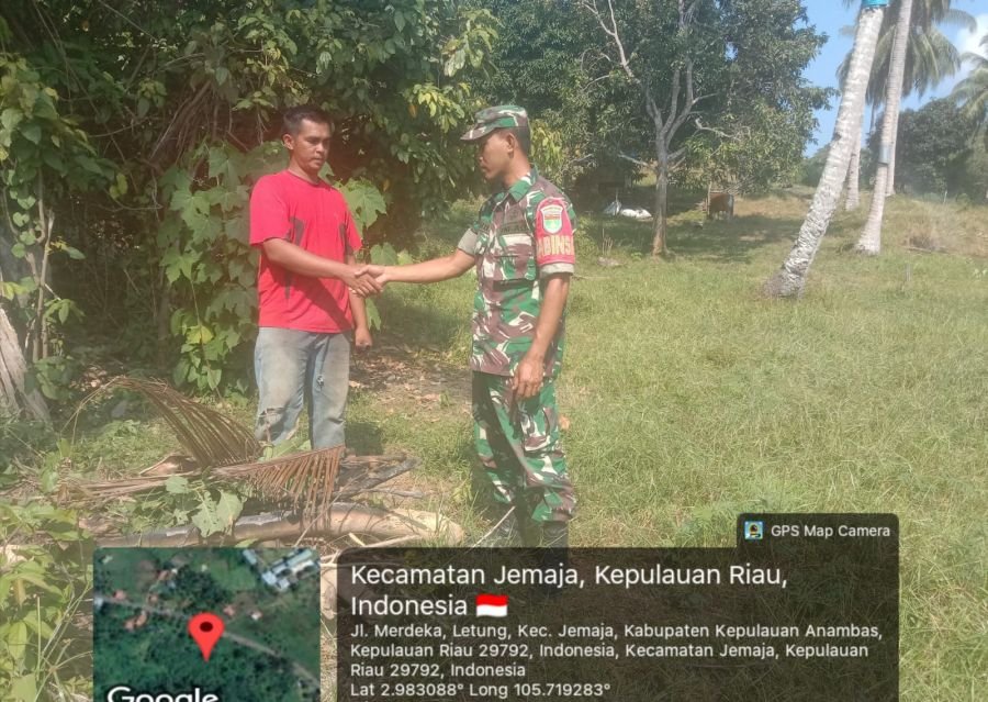 Babinsa Komsos di Perkebunan, Koptu Fian Hendratmo Dorong Pengembangan Kelapa dan Pisang di Jemaja