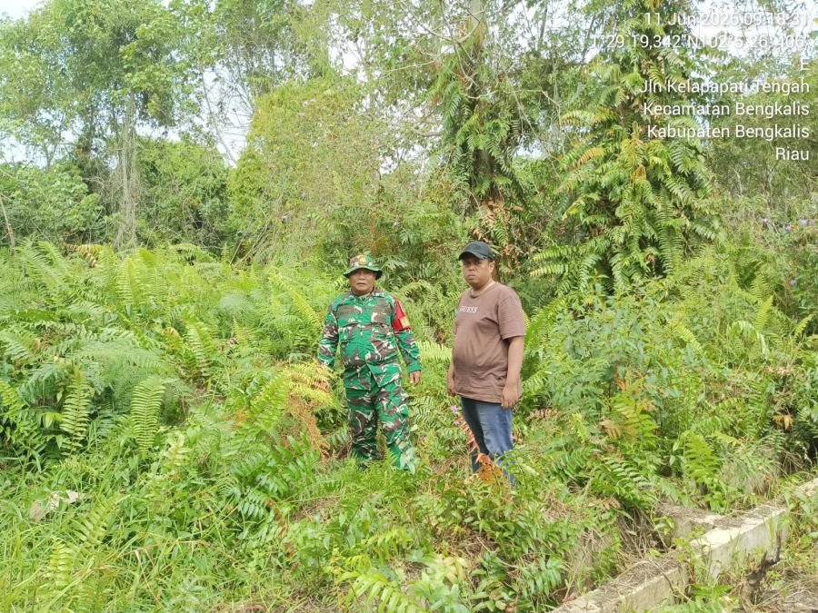 Babinsa Koramil 01 / Bengkalis rutin memberikan sosialisasi bahaya kebakaran hutan dan lahan