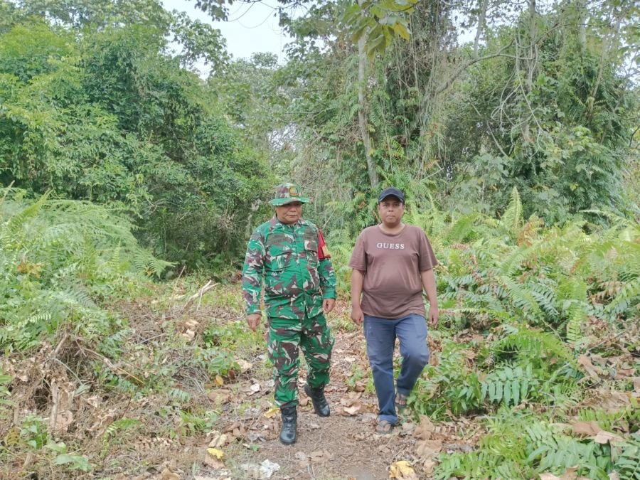 Babinsa Koramil 01 Bengkalis Sertu Syafrizal rutin menghimbau dan sosialisasi dampak kebakaran hutan